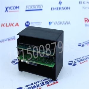 GE  IC670PBI001插图1