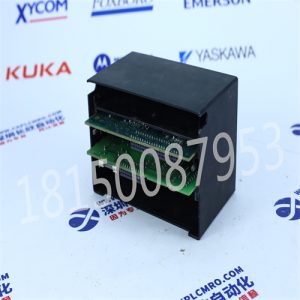 GE  IC670PBI001插图1