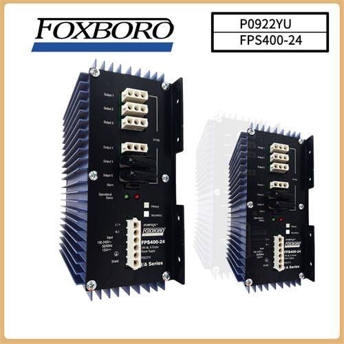 FPS400-24 FOXBORO DIN插图1