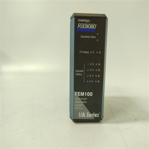 FOXBORO FEM100 P0973CA 2插图1