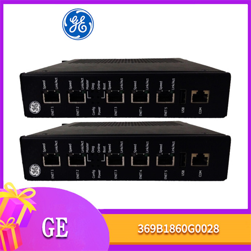 GE-369B1860G0028插图2