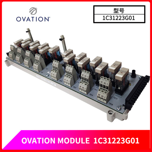 OVATION-1C31223G01插图2