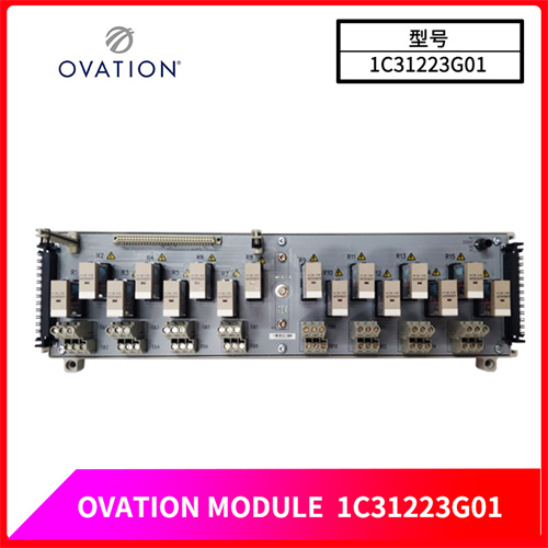 OVATION-1C31223G01插图