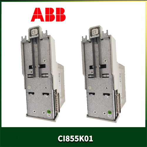 ABB-CI855K01插图1