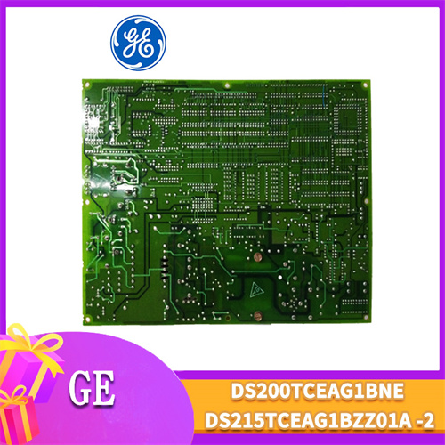 GE DS215TCEAG1BZZ01A插图