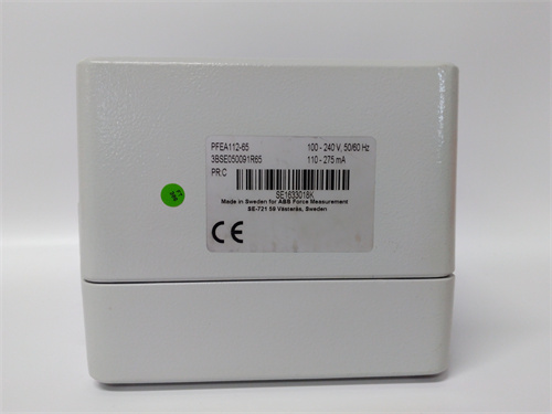 ABB PFEA112-65 3BSE050091R65插图