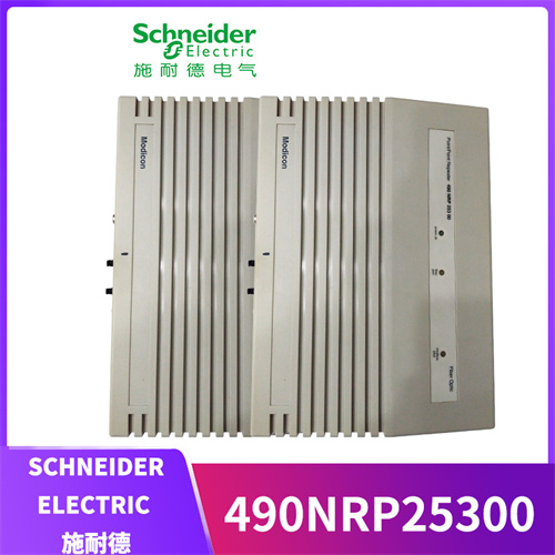 Schneider 490NRP25300插图1