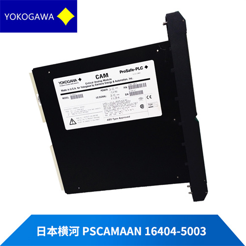 YOKOGAWA PSCAMAAN-16404-5003插图1