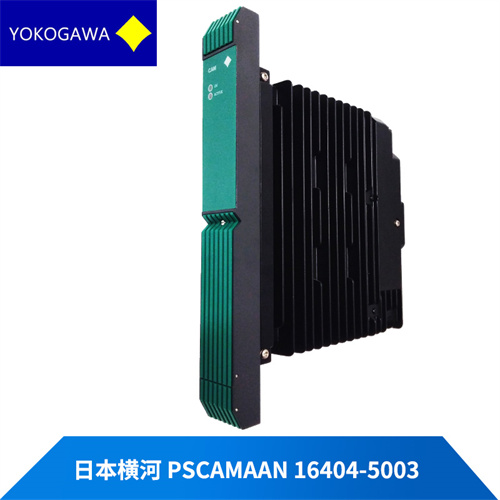 YOKOGAWA PSCAMAAN-16404-5003插图