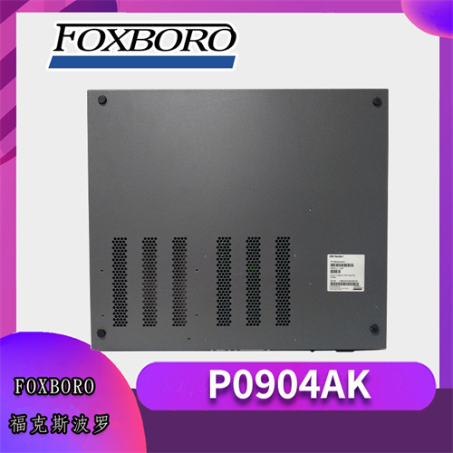 FOXBORO P0904AK插图1