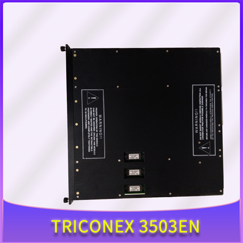 TRICONEX 3503E插图